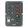 Vertical control panel w. 3 switches + horn