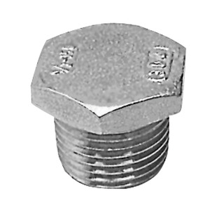 SS pipe cap 3/8