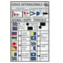 Int.pennants code 16x24 cm