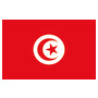 Flagge Tunesien 20 x 30 cm