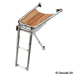 Dolphin striker with 2- and 3-step telescopic ladder