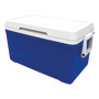 IGLOO rigid icebox (up to 90 litres) title=