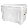 IGLOO rigid icebox (up to 100 litres) title=