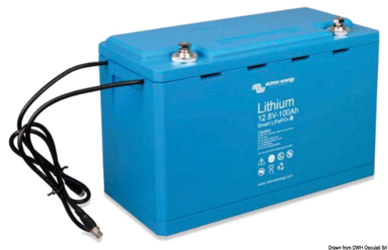 Victron Energy Câble d'extension pour Smart LiFePO4 batterie BMS 3