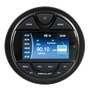Radio for instrument panel with remote control and DAB antenna title=